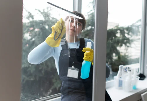 Nettoyage de vitres intérieures et extérieures à Bretignolles